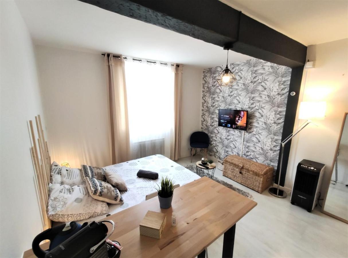 Le Jasmin Des Carmes - Hypercentre - Netflix Lejlighed Toulouse Eksteriør billede