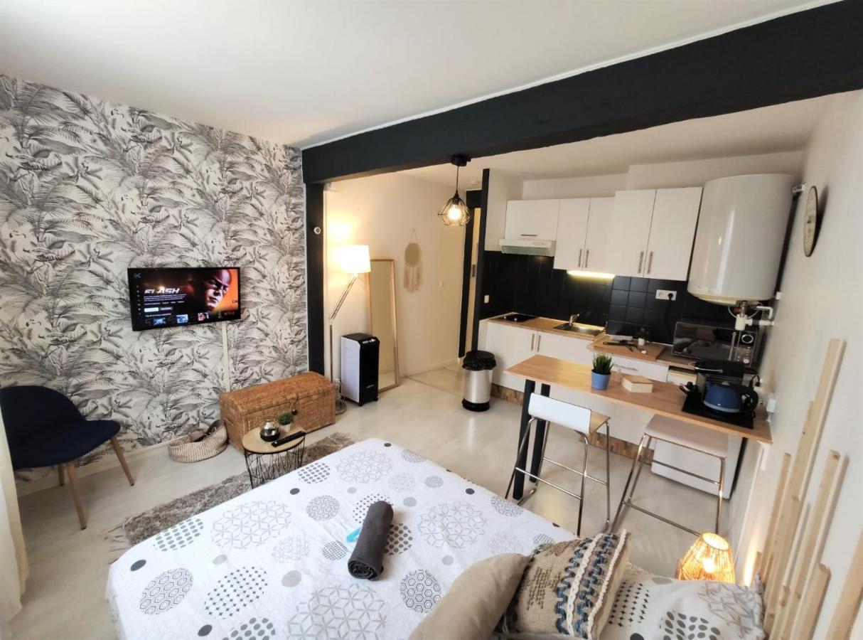 Le Jasmin Des Carmes - Hypercentre - Netflix Lejlighed Toulouse Eksteriør billede