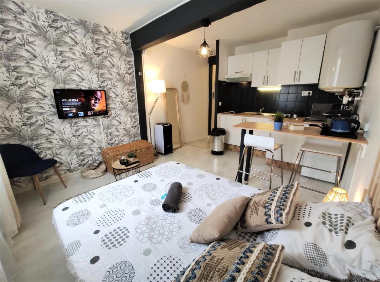 Le Jasmin Des Carmes - Hypercentre - Netflix Lejlighed Toulouse Eksteriør billede