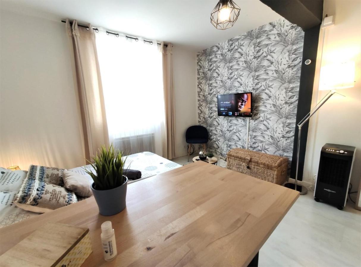 Le Jasmin Des Carmes - Hypercentre - Netflix Lejlighed Toulouse Eksteriør billede